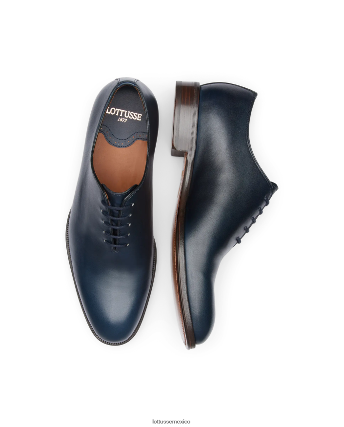 azul marino Lottusse hombres lenox cepillado de becerro oxford PNBVJ014