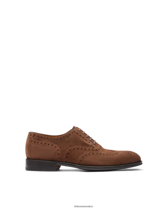 marrón Lottusse hombres lenox ante becerro oxford PNBVJ0140