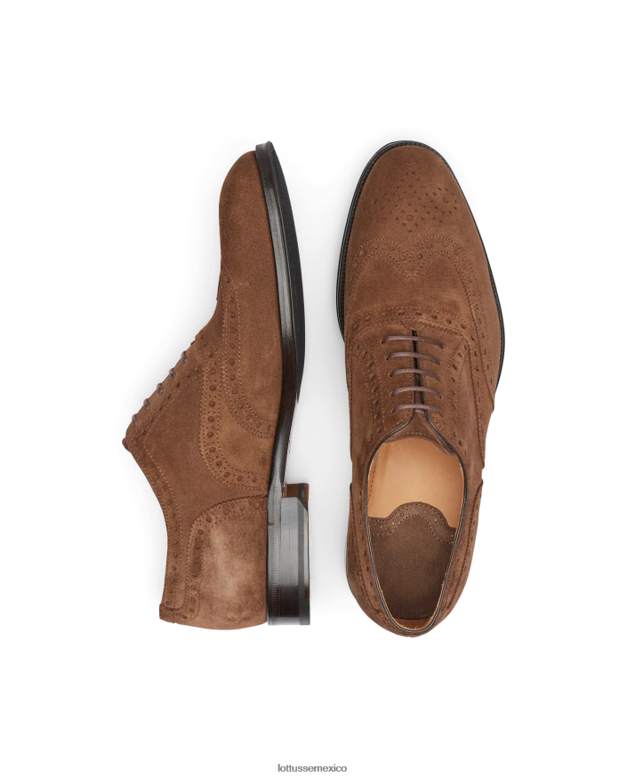 marrón Lottusse hombres lenox ante becerro oxford PNBVJ0140