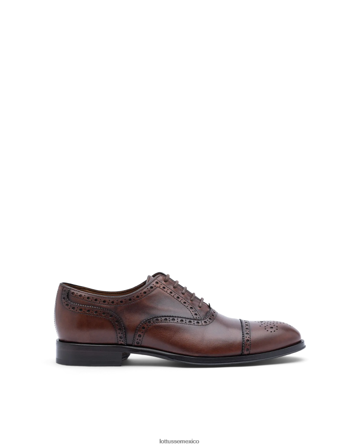 marrón Lottusse hombres lenox cepillado de becerro oxford PNBVJ0139