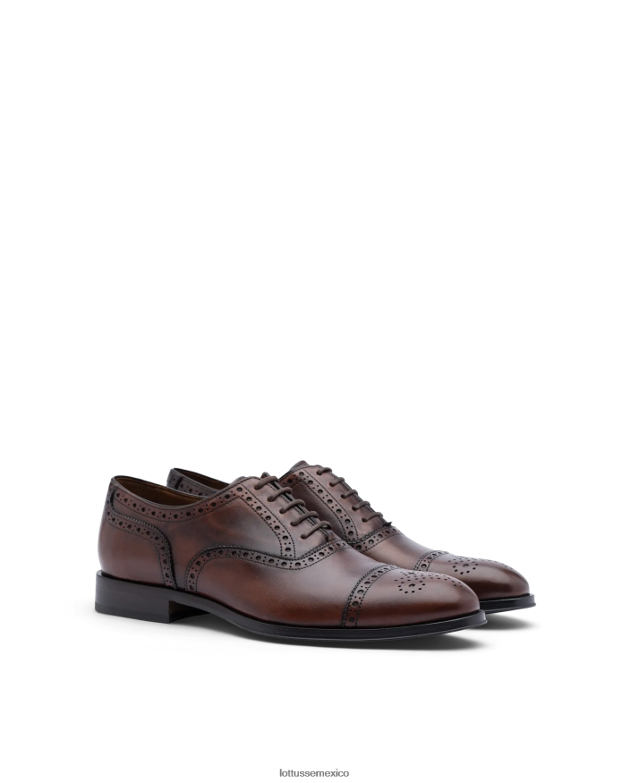 marrón Lottusse hombres lenox cepillado de becerro oxford PNBVJ0139