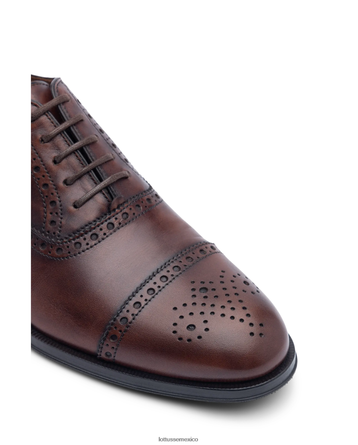 marrón Lottusse hombres lenox cepillado de becerro oxford PNBVJ0139