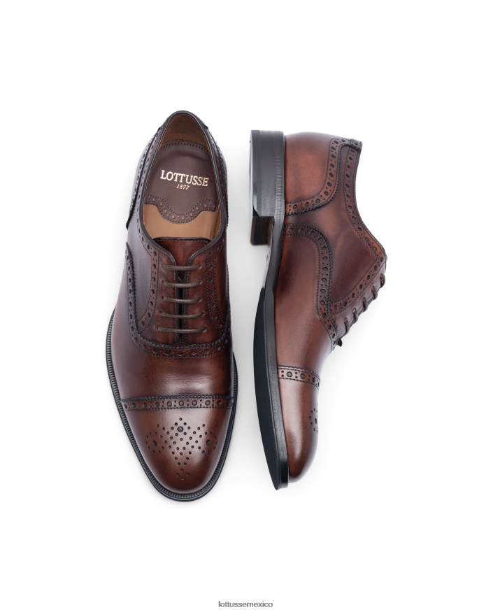 marrón Lottusse hombres lenox cepillado de becerro oxford PNBVJ0139