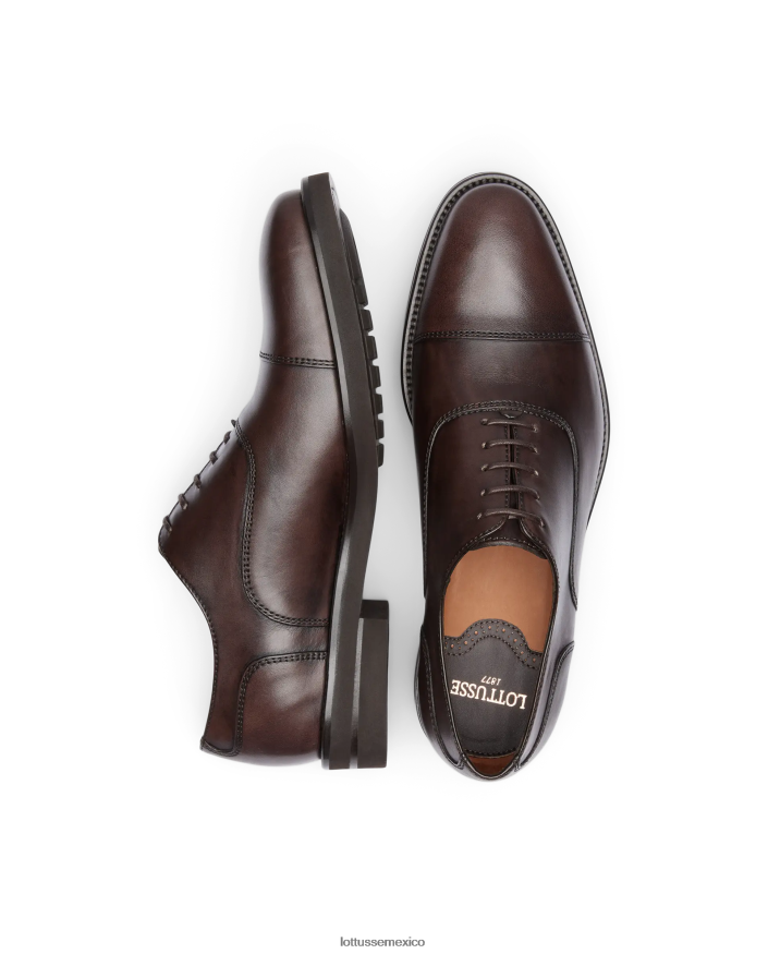 moca Lottusse hombres holborn cepillado de becerro oxford PNBVJ0145
