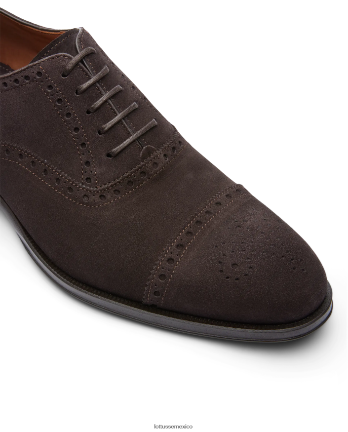 moca Lottusse hombres lenox ante becerro oxford PNBVJ0138