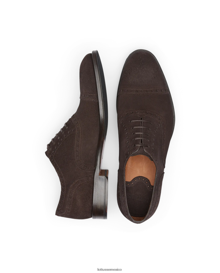moca Lottusse hombres lenox ante becerro oxford PNBVJ0138