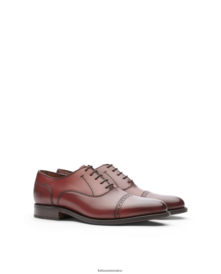 negro Lottusse hombres Oxford de becerro anilina con corteza burdeos premium PNBVJ052