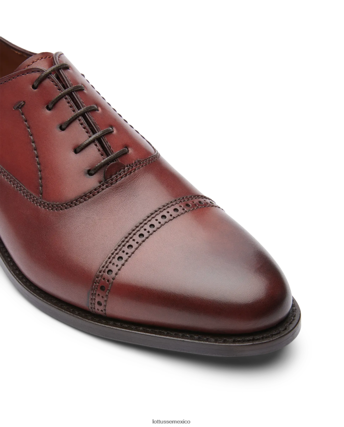 negro Lottusse hombres Oxford de becerro anilina con corteza burdeos premium PNBVJ052
