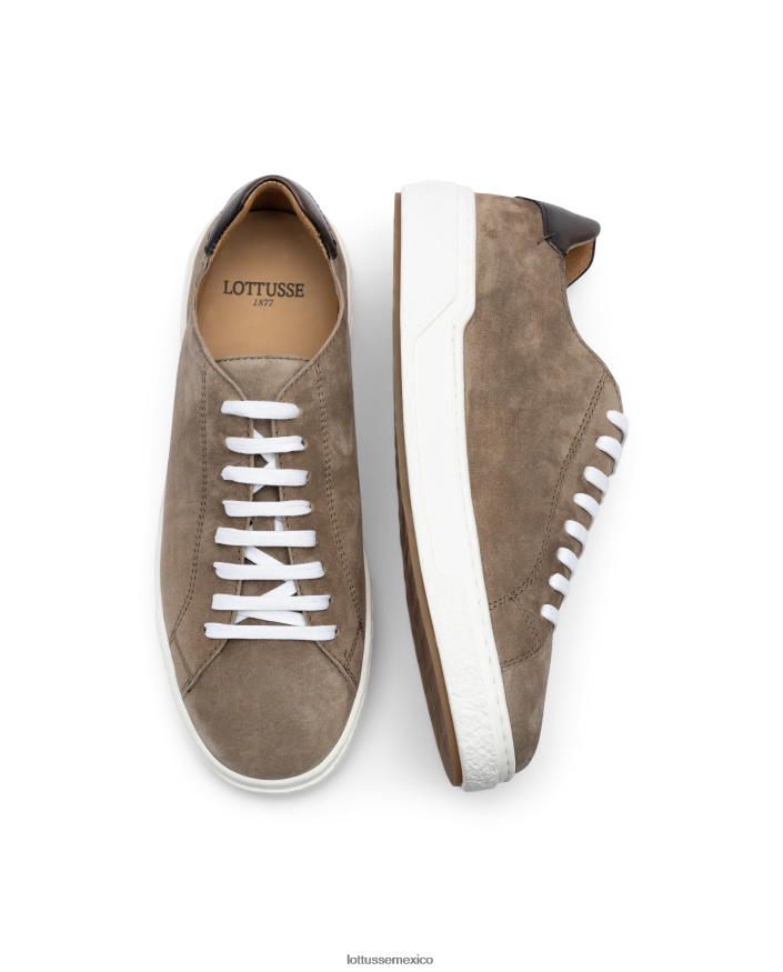 gris pardo Lottusse hombres zapatillas torino de ante y becerro PNBVJ0107