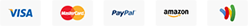 Paypal Visa Payments